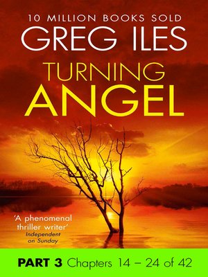 cover image of Turning Angel, Part 3, Chapters 14 - 24